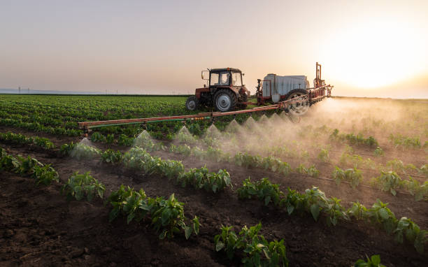 Best Pest Control for Businesses  in Hickman, NE