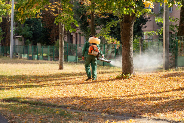 Best Pest Prevention Services  in Hickman, NE